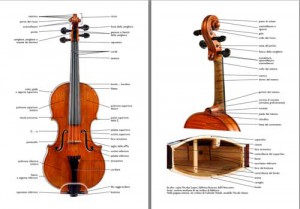 la nomenclatura del violino
